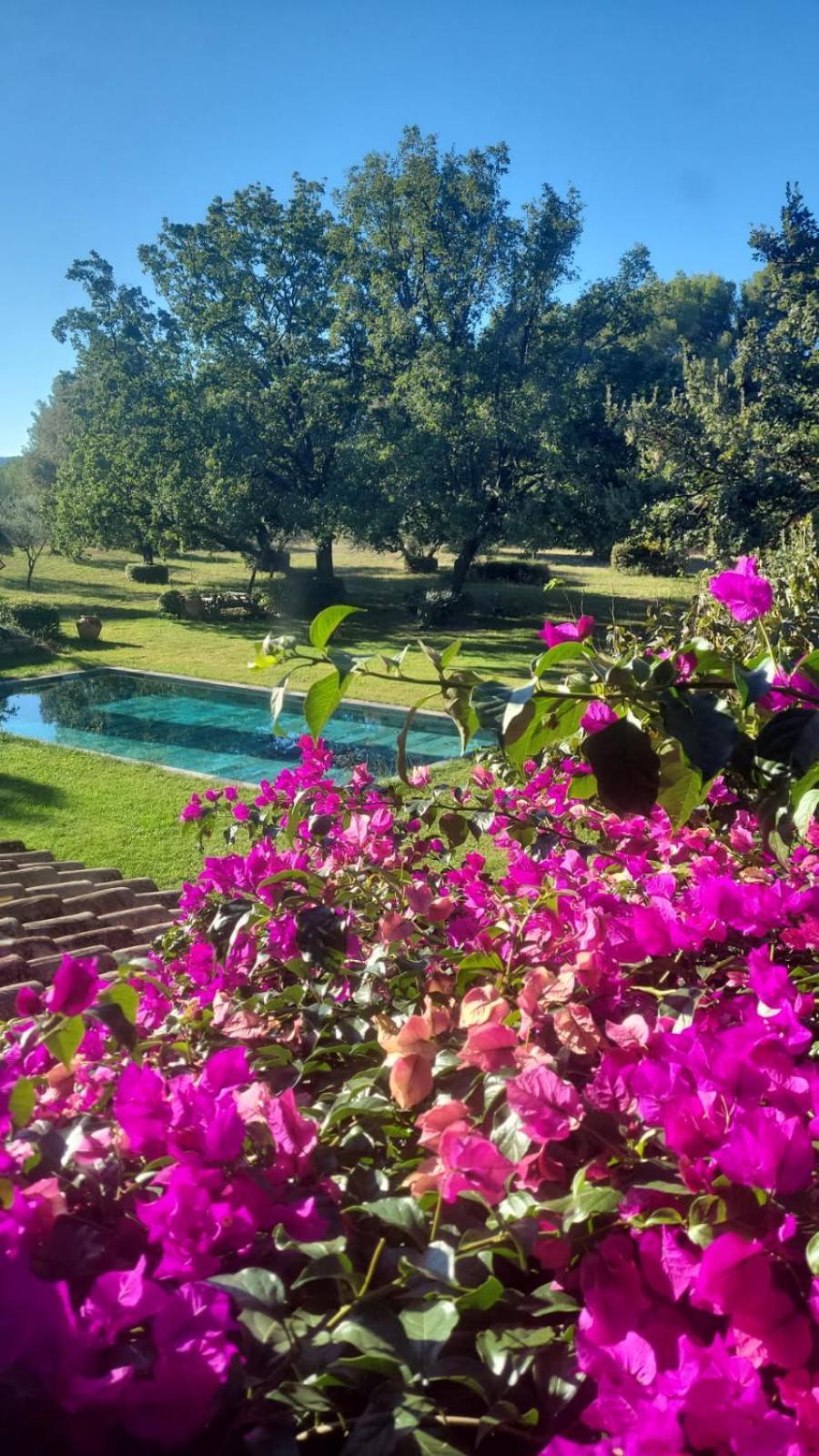 Des Escans Bed & Breakfast